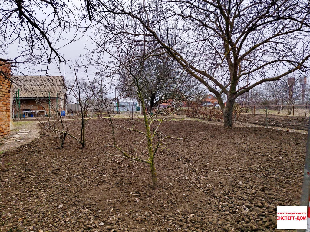 Продажа дома, Лакедемоновка, Неклиновский район, ул. Социалистическая - Фото 6