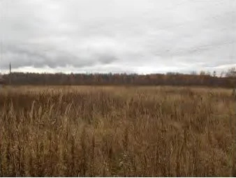 Земельный участок - Фото 1