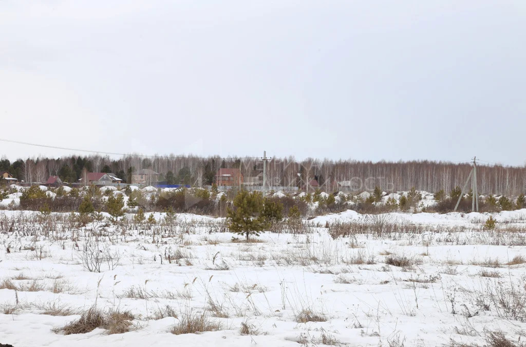 Продажа участка, Штакульская, Нижнетавдинский район, Нижнетавдинский ... - Фото 6