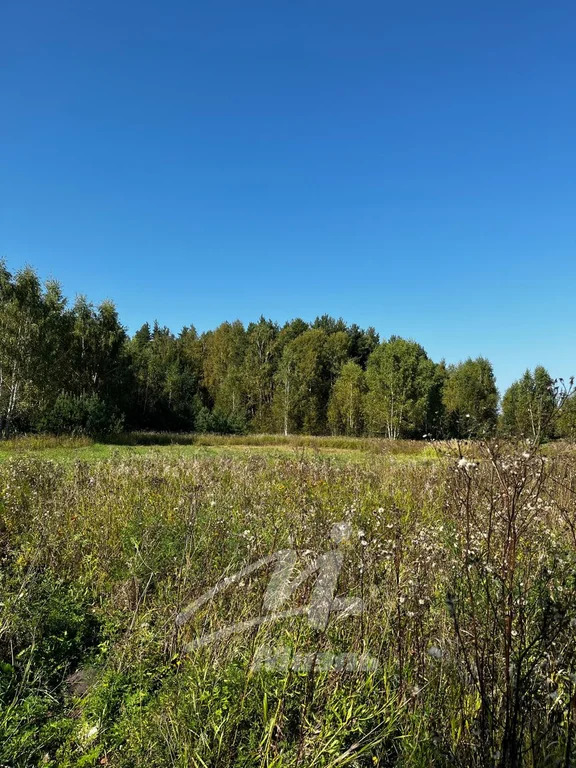 Продажа участка, Бисерово, Богородский г. о. - Фото 2