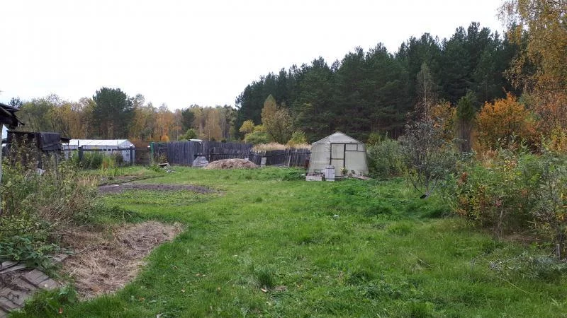 Купить Дом В Кедровке Свердловской Области