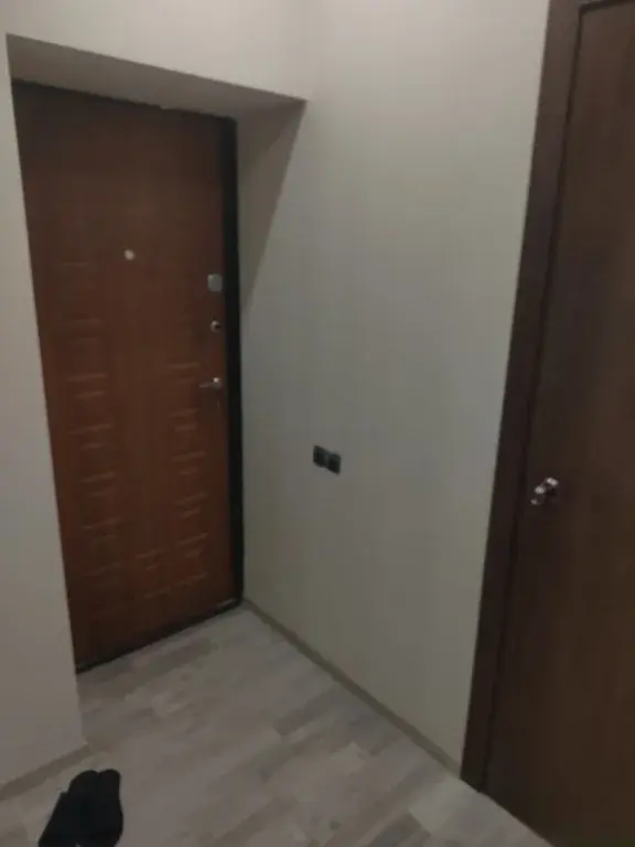 1-к.с.Тарасовка,ул.Солнечная, д.26к1а - Фото 6