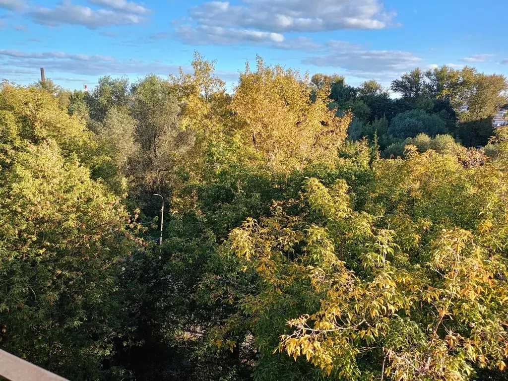 3-ка, Щелково, Пустовская, 18 - Фото 3