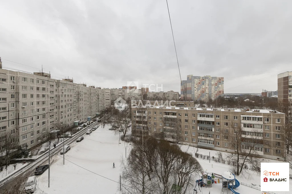 городской округ Пушкинский, Ивантеевка, улица Толмачёва, д.15, ... - Фото 16