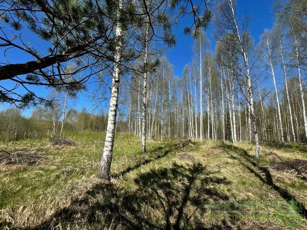 Продажа участка, Саньково, Клинский район - Фото 2