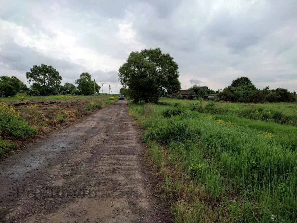 Курский участок. Анпилогово Курская область. Село Анпилогово Курская область. Деревня Анпилогово в Курской области. Село 2е плоское Курской области.