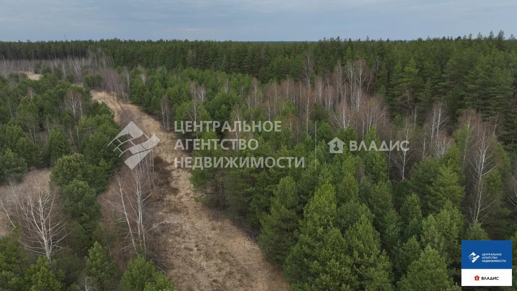 Продажа участка, Фролово, Клепиковский район - Фото 1