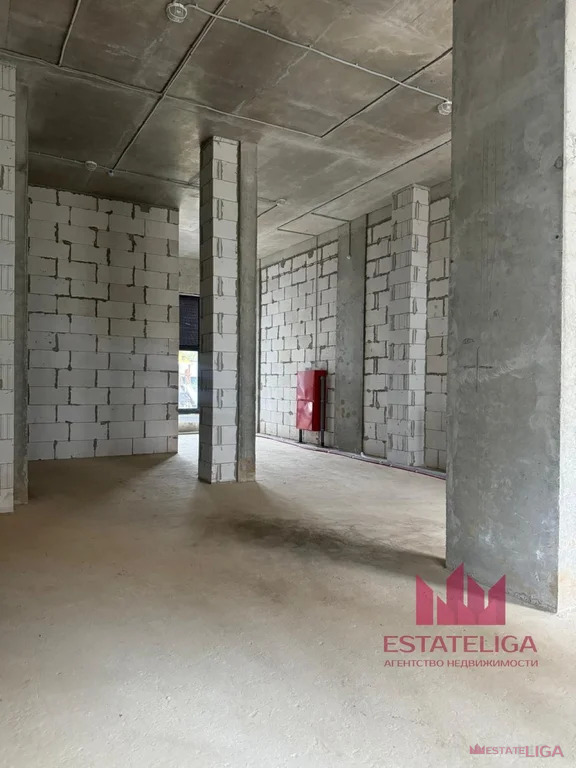 Аренда ПСН, Прокшинский проспект - Фото 2