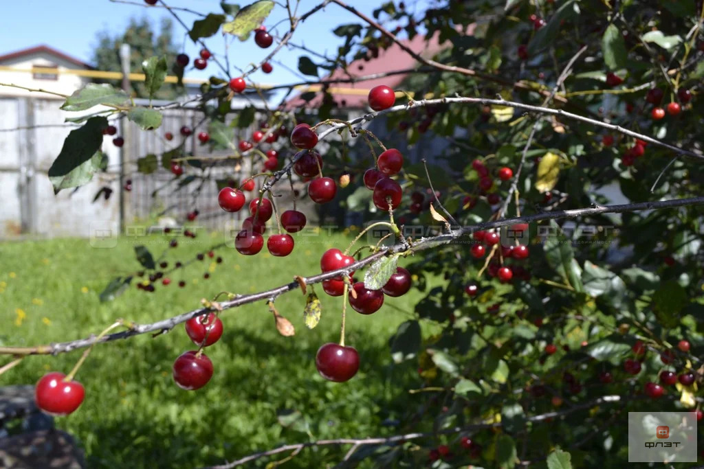 Продажа дома, Тюбяк-Чекурча, Арский район, ул. Луговая - Фото 10