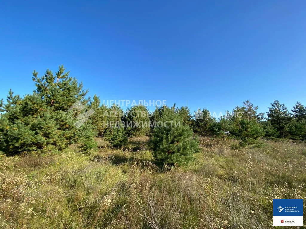 Продажа участка, Рязанский район - Фото 1
