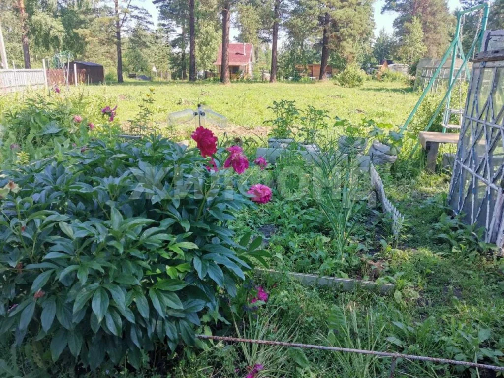 Продажа дома, Льниха, Тогучинский район, Береговая - Фото 5
