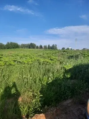 Продаетс большой участок земли в д.Нововолково Рузский р. Московская - Фото 4