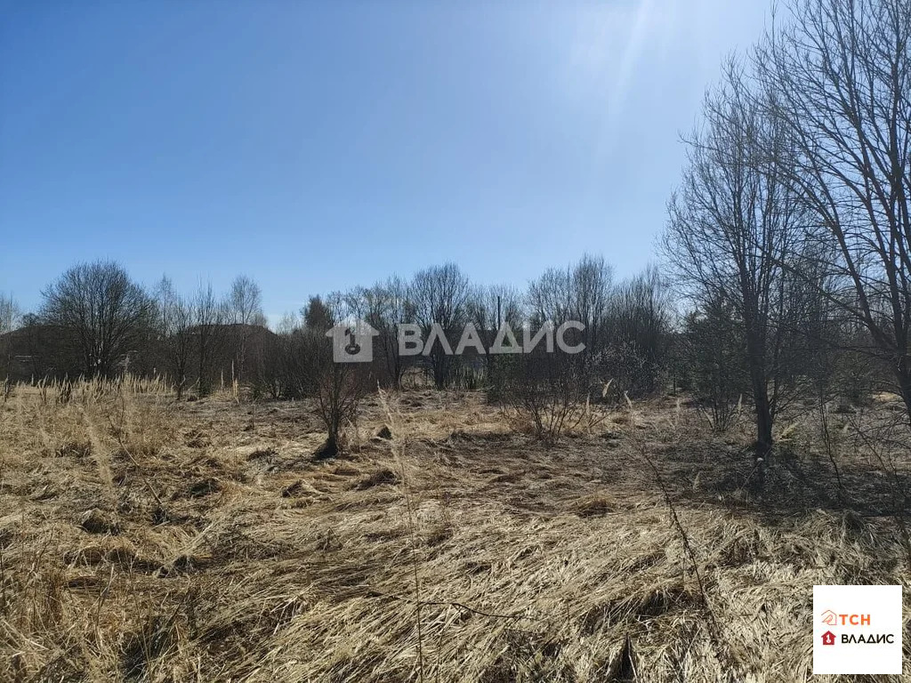 Продажа участка, Новопареево, Щелковский район, 1-я Амеревская улица - Фото 5