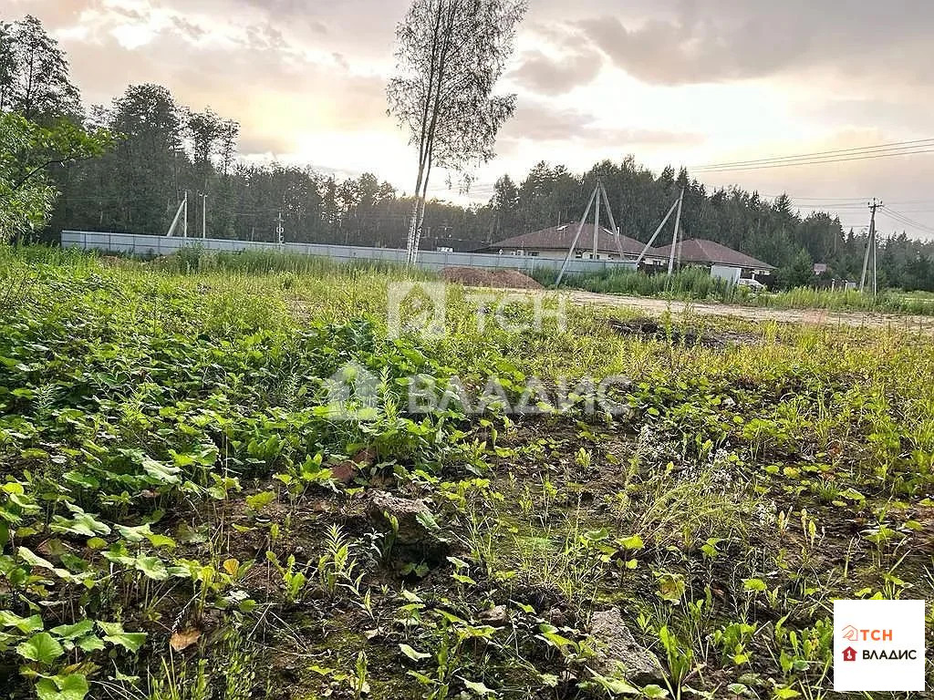 городской округ Щёлково, деревня Шевёлкино, Каштановая улица,  земля ... - Фото 6