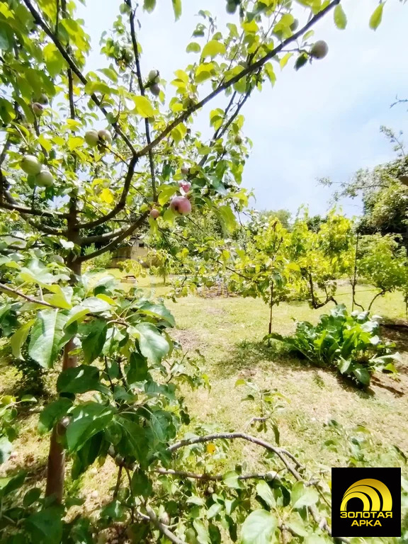 Продажа дома, Варениковская, Крымский район, ул. Лермонтова - Фото 12