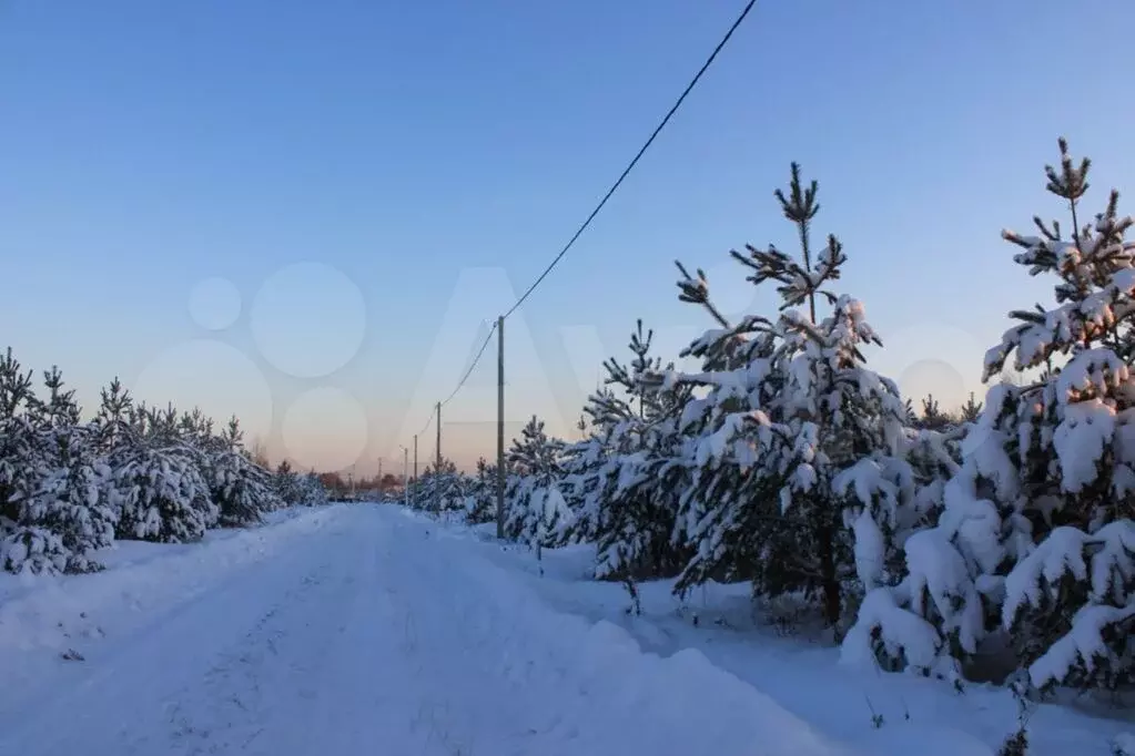 15 га ИЖС в пригороде Киржача , лесные участки - Фото 1