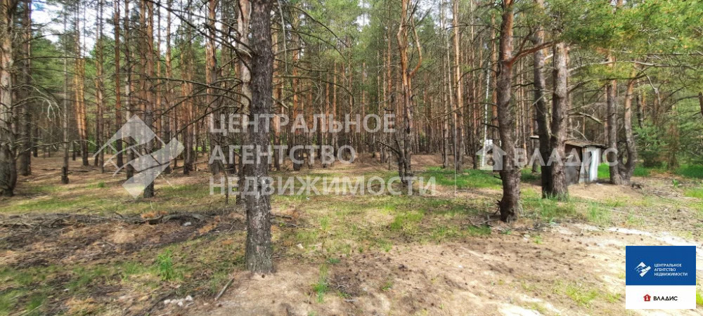Продажа участка, Сумбулово, Спасский район, ул. Центральная - Фото 2
