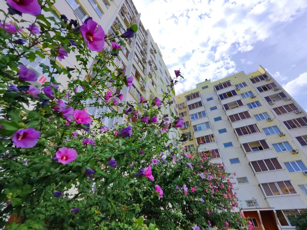 Продажа квартиры, Геленджик - Фото 13