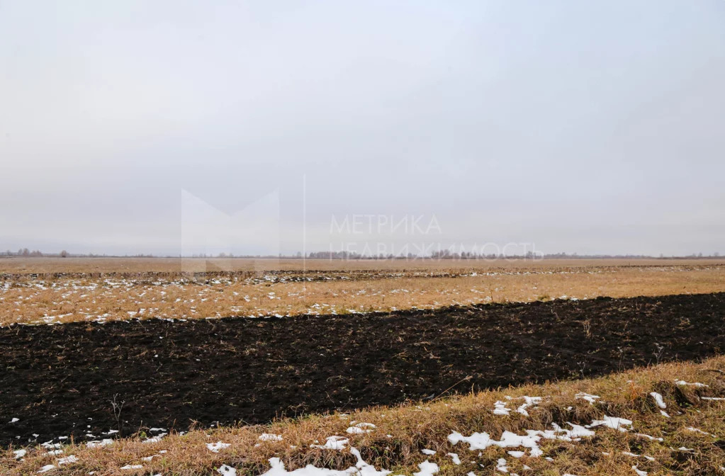 Продажа земельного участка, Тюменский район, Тюменский р-н - Фото 8
