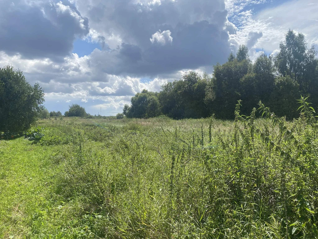 Продается земельный участок 20.269 сот. - Фото 5