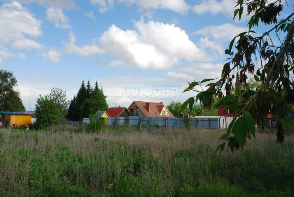 Продажа дома, Береговое, Новосибирский район - Фото 2