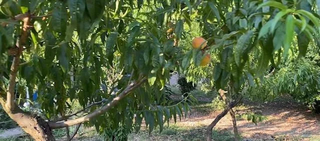 Продажа дома, Геленджик - Фото 11