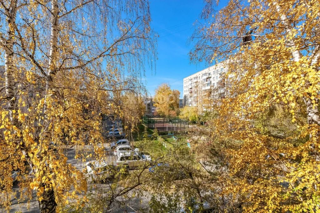 Продажа квартиры, Новосибирск, ул. Гоголя - Фото 17