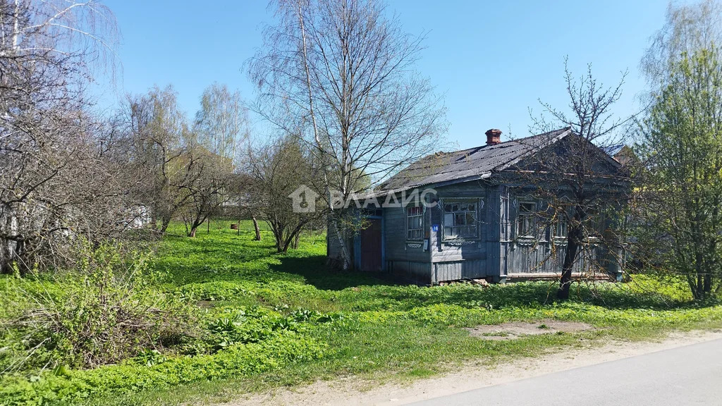 Судогодский район, деревня Байгуши, Центральная улица,  дом на продажу - Фото 1