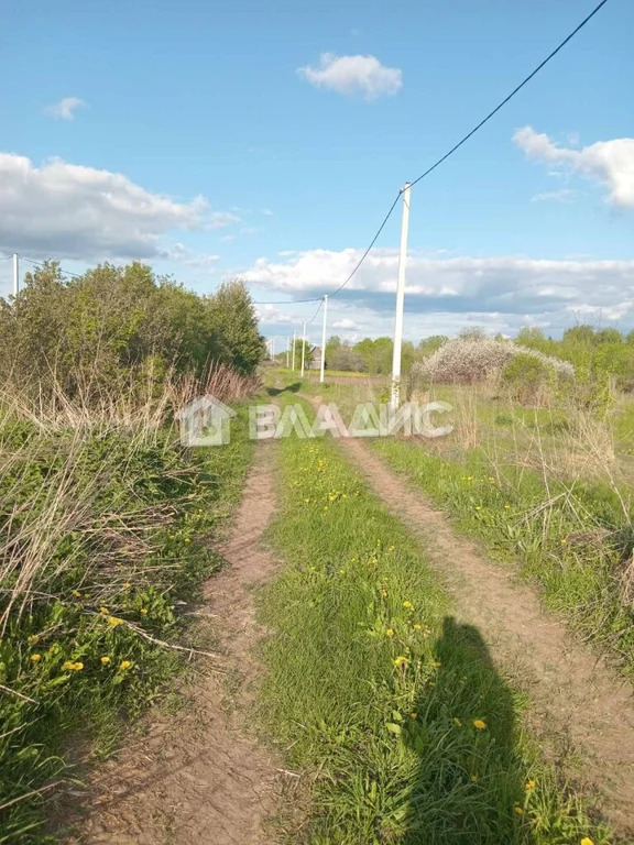 Суздальский район, СНТ Плодовое,  земля на продажу - Фото 0