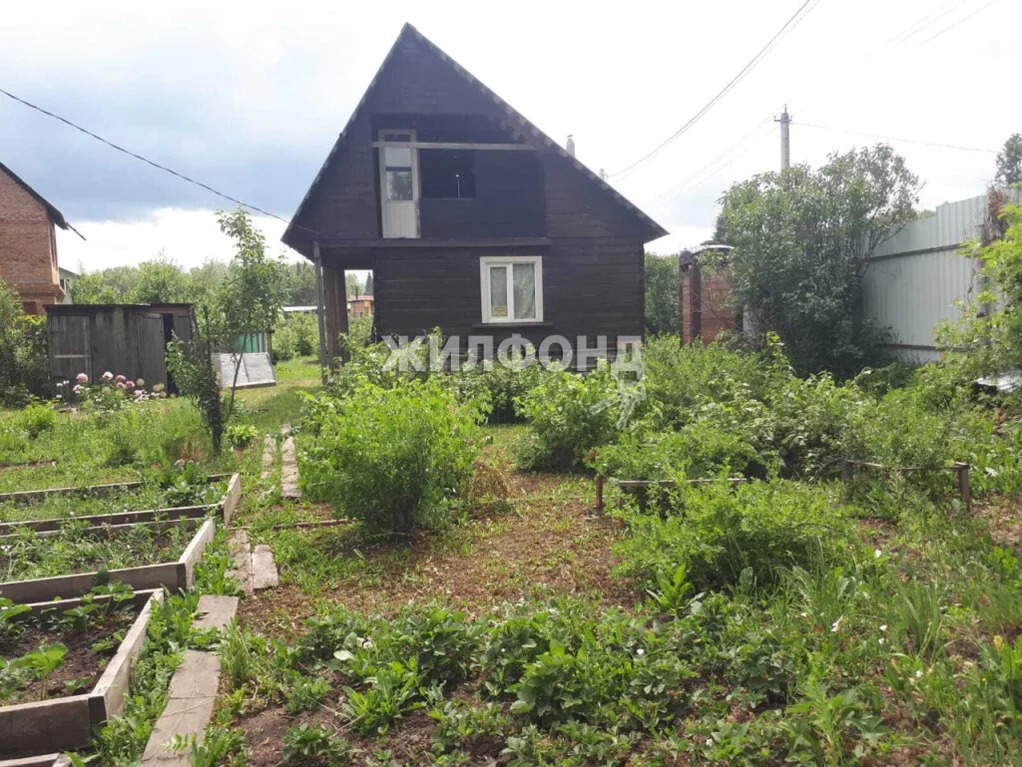 Купить Дачу Обской Залив Искитимский