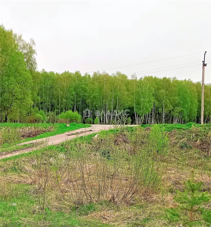 Малоярославецкий район, село Ильинское, земля на продажу - Фото 3