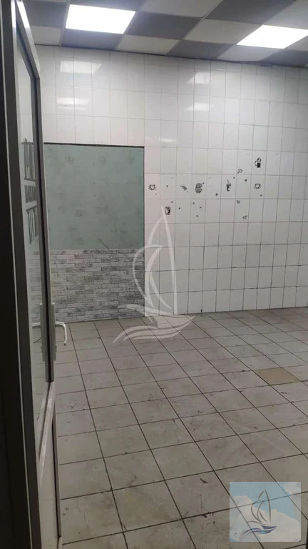 Аренда торгового помещения, Подольск, Подольск - Фото 15