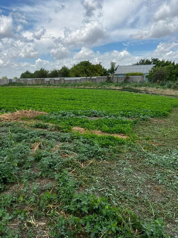 Продажа земельного участка, Безопасное, Труновский район, ул. ... - Фото 0