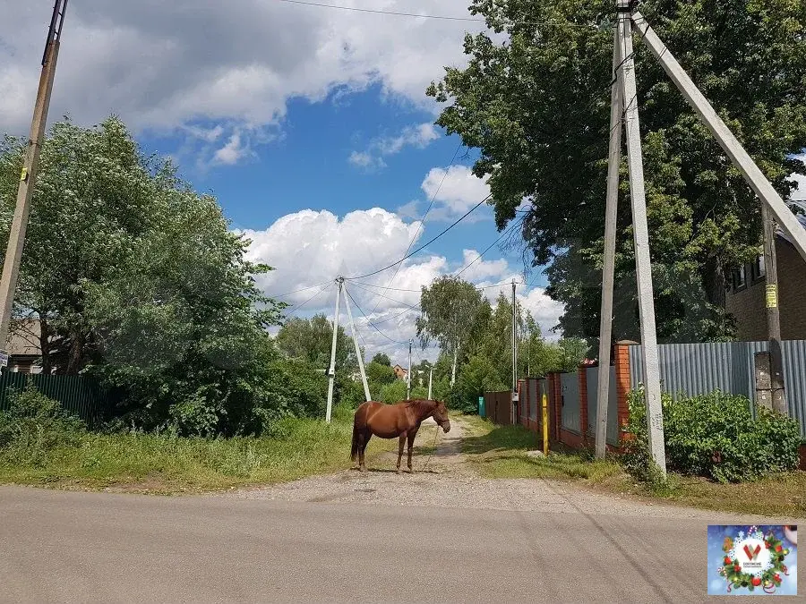 Дом 136 м на участке 10 сот. д.Аленино - Фото 23