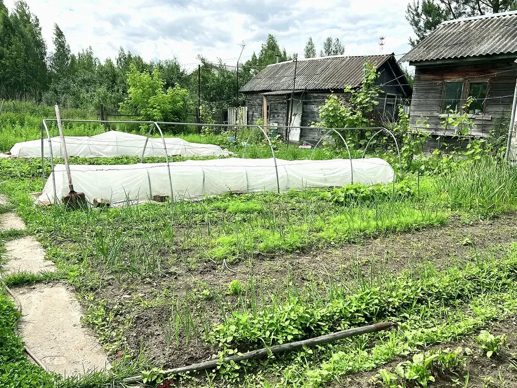 Дом в селе Куплиям - Фото 27