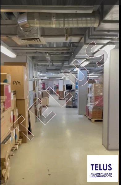 МО, Химки, Шереметьево 7354 м2, Склад (ном. объекта: 8266) - Фото 2