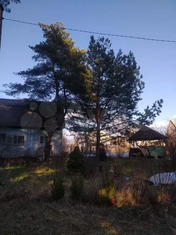 Продаётся дача 70 м на участке 15 сот. недалеко от города Луховицы - Фото 3