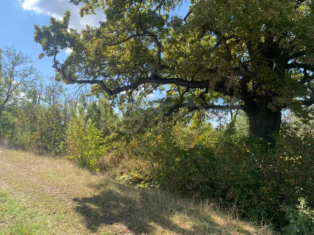 Продажа участка, Новороссийск - Фото 6