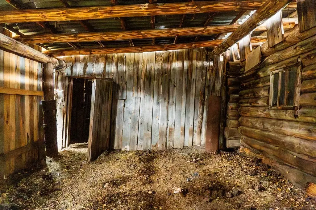 Дом в д. Бехтерева - Фото 11