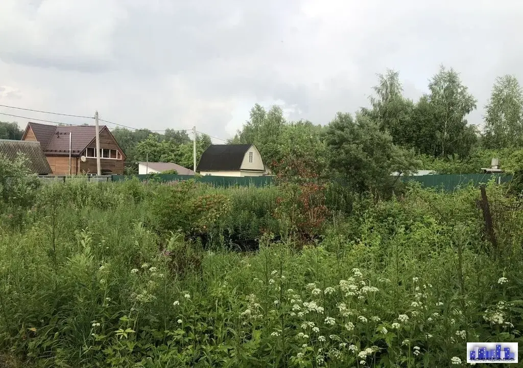 Участок 6 соток в д. Новый стан, СНТ Лесная Поляна. - Фото 2