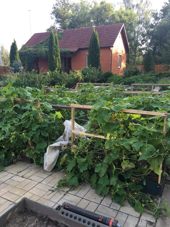 Коттедж 436 м2 на участке 36 сот. - Фото 21