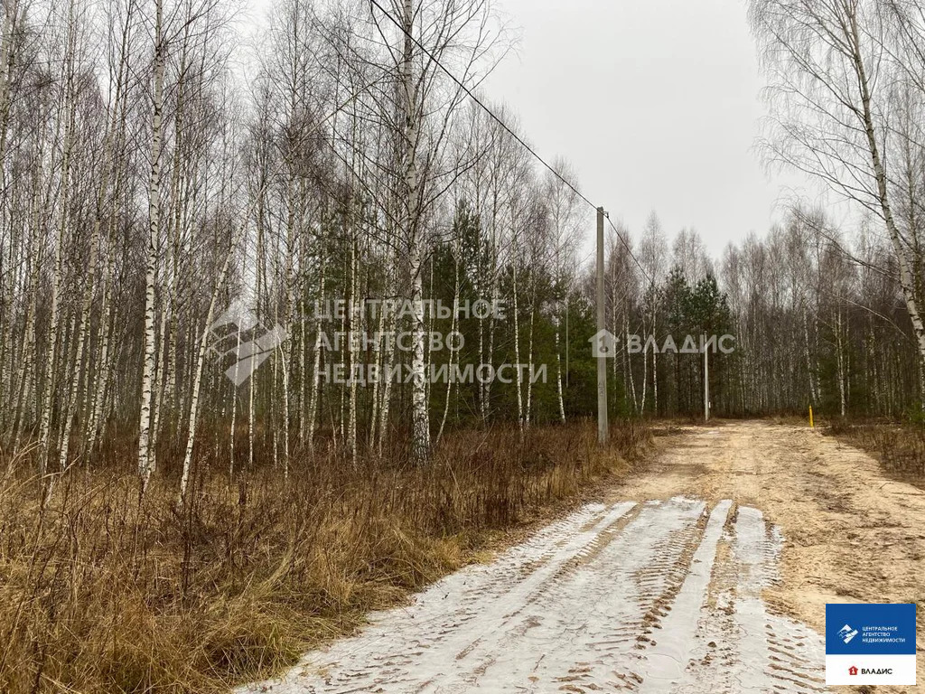 Продажа участка, Ярустово, Спасский район, ул. Лесная - Фото 9