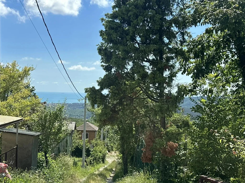Продажа участка, Геленджик, тер. СНТ Медик (село Дивноморское) - Фото 12