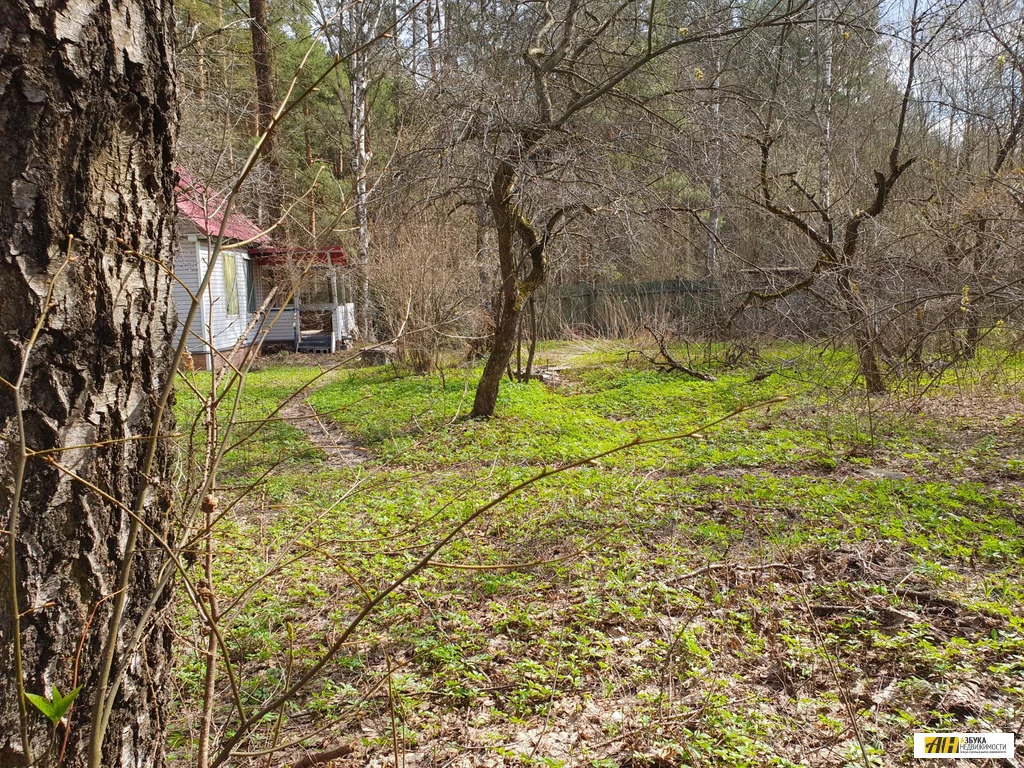 Клинцовка вилладж зеленоградск. Земли в зеленограде. 10 км от мкад по пятницкому шоссе. Снт отдых госплан москва. 7 участок зеленоград.