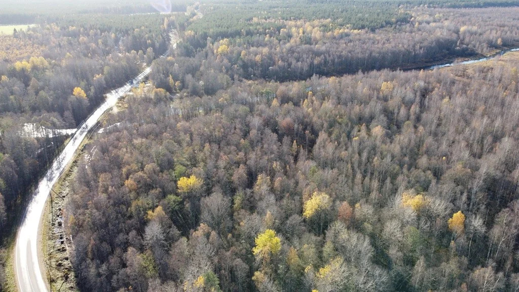 Продажа участка, Барышево, Выборгский район - Фото 13