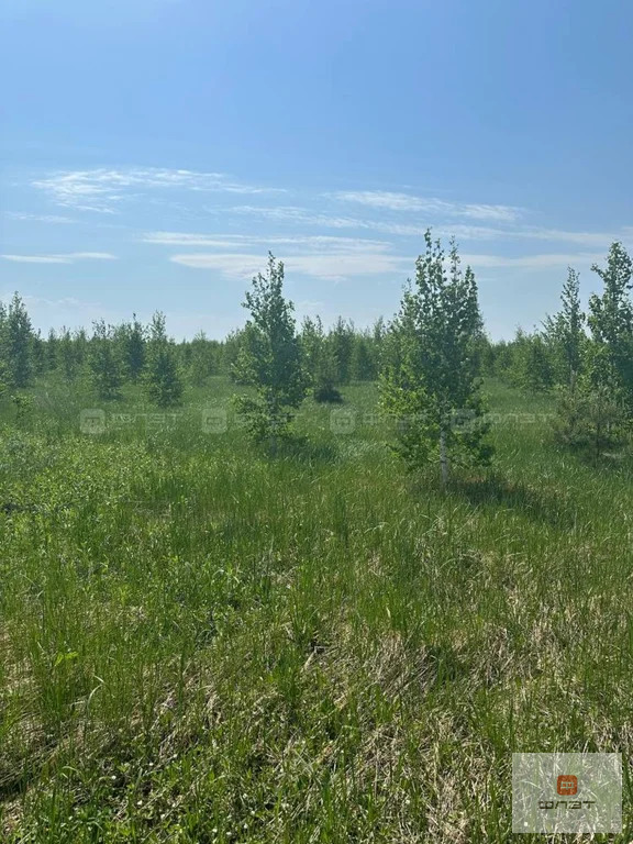 Продажа участка, Яшь Кеч, Высокогорский район - Фото 3