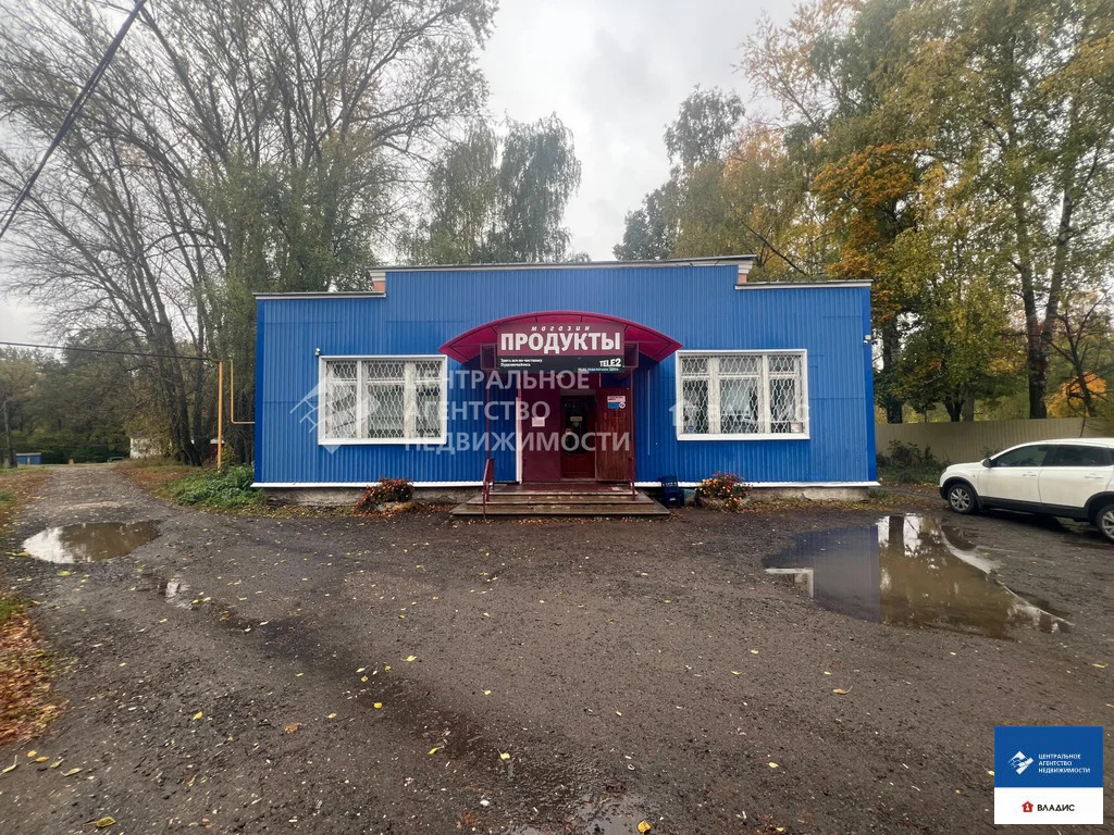 Продажа ПСН, Стенькино, Рязанский район, ул. Центральная - Фото 0