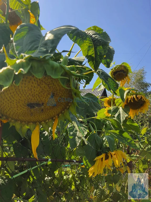 Продажа дома, Подольский район, 12 - Фото 38