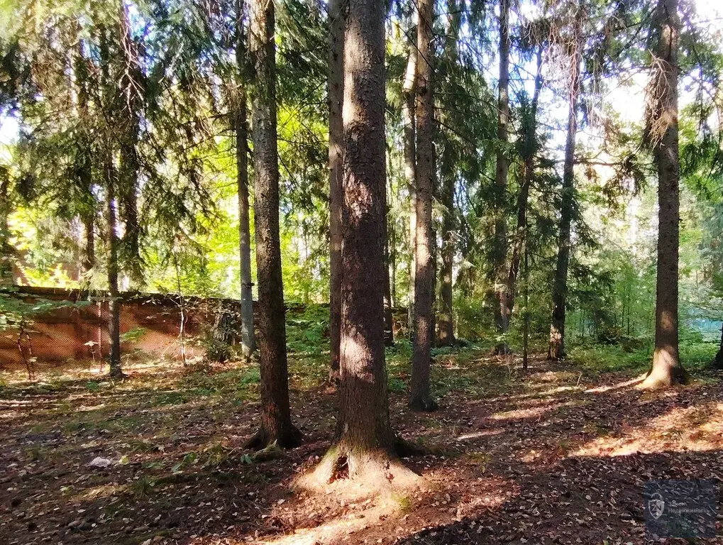 Обжитой стародачный поселок  Фрунзевец. 30 км от МКАД по Киевскому ш. - Фото 4