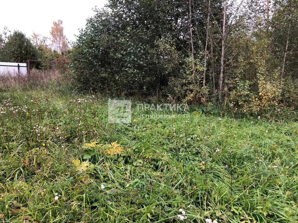 Продажа участка, Рузский район, СНТ Анюта - Фото 6